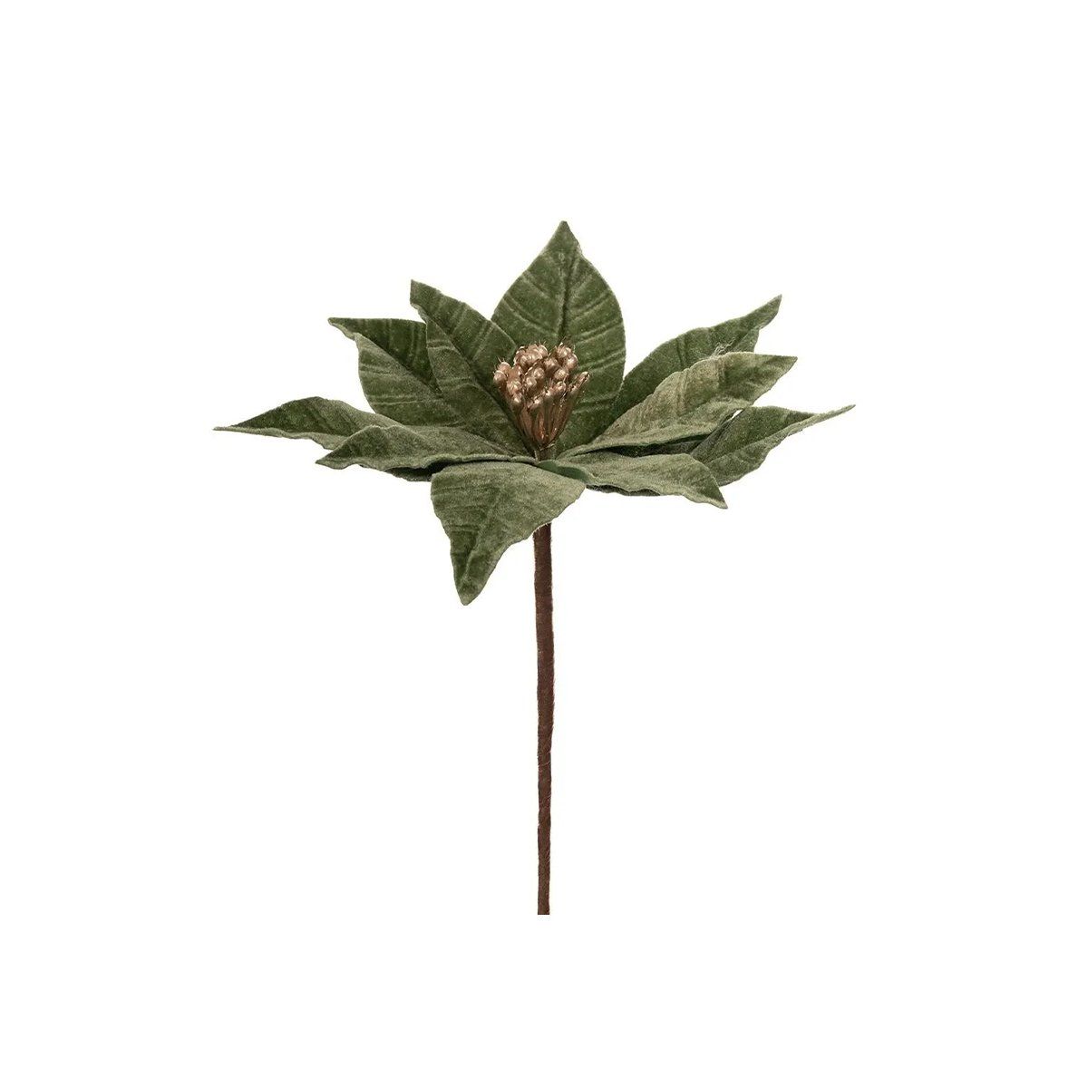 მოსართავები და ყვავილები