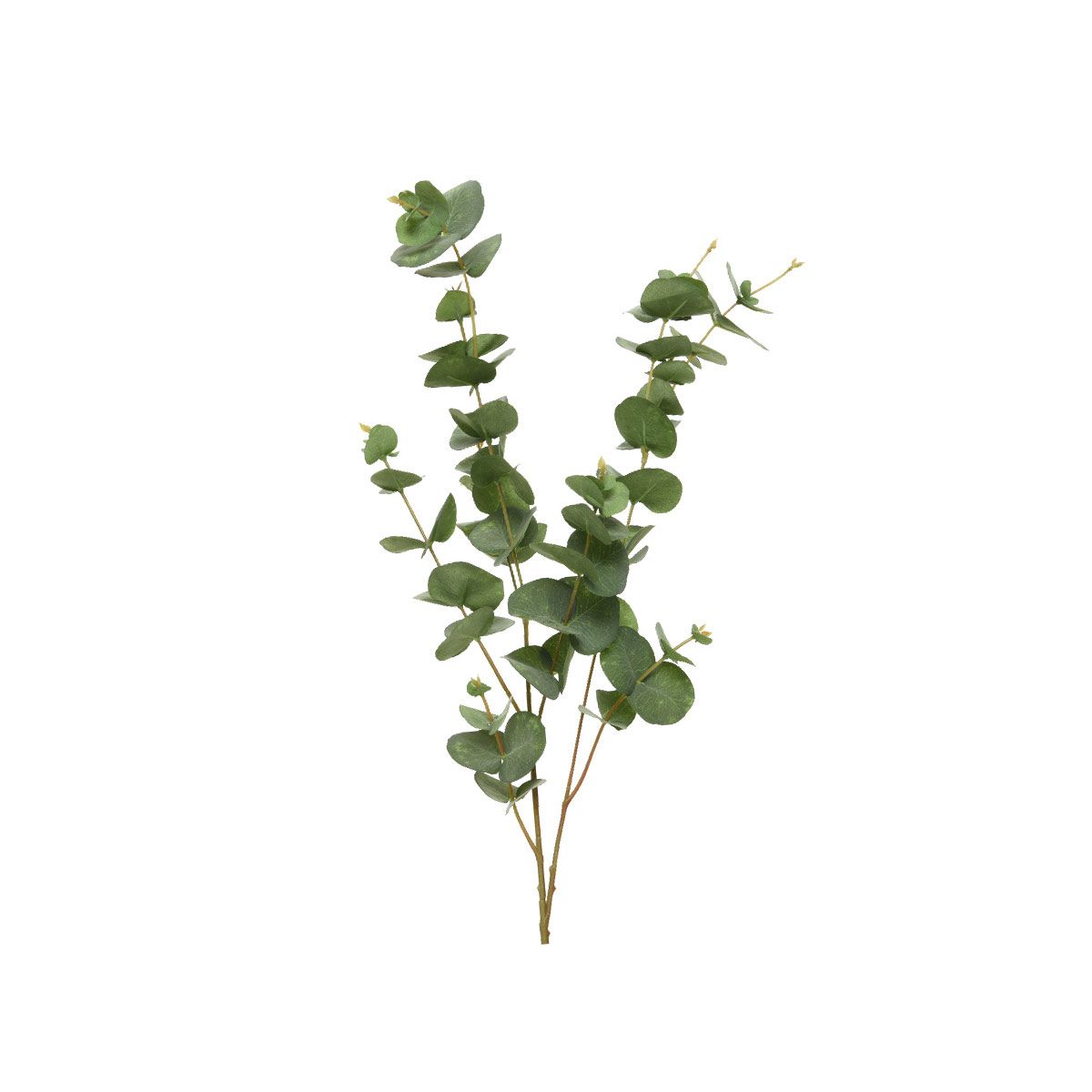 გვირგვინები და ნაძვის ტოტები