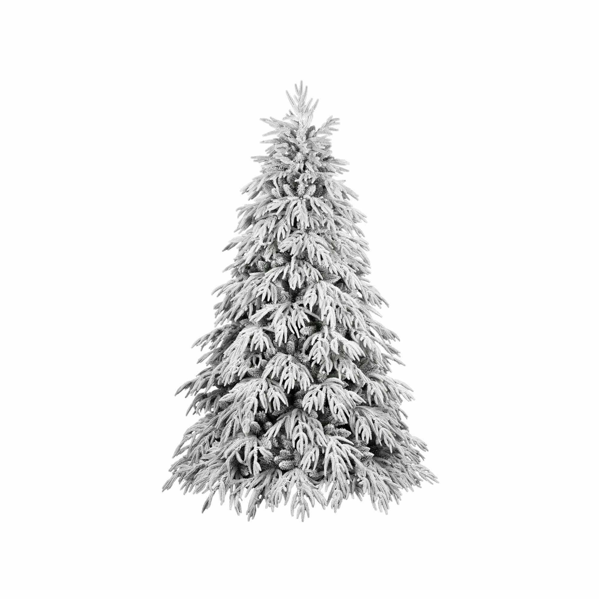 ნაძვის ხეები‎