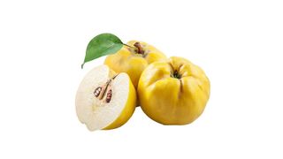 კომში 0,75-0,8კგ