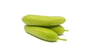 შუშა კიტრი "პლანტა" 0,5-0,6კგ