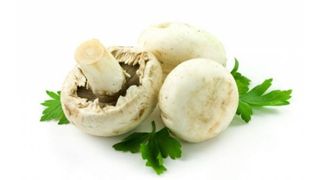 ქამა სოკო 0,5კგ