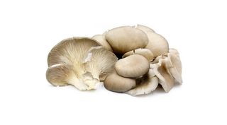 ხის სოკო 0,5კგ