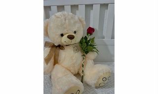 დათუნია ერთი წითელი ვარდით