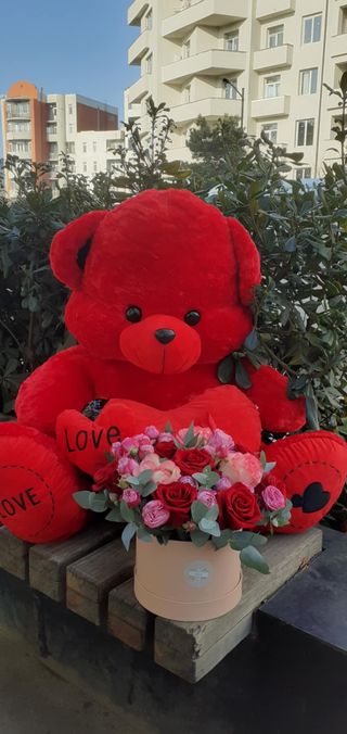 დათუნია(140სმ) ყვავილების ბოქსით