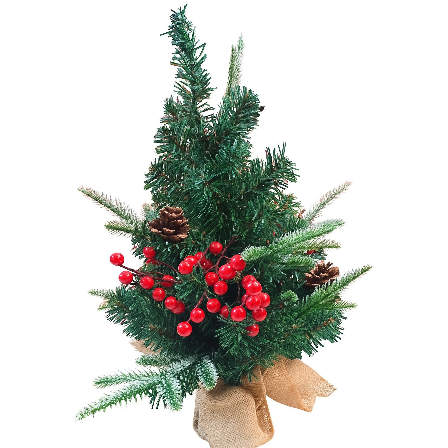 Sapins & Grands Décors