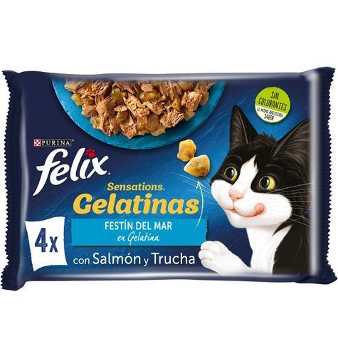 Alimentação Húmida Gato