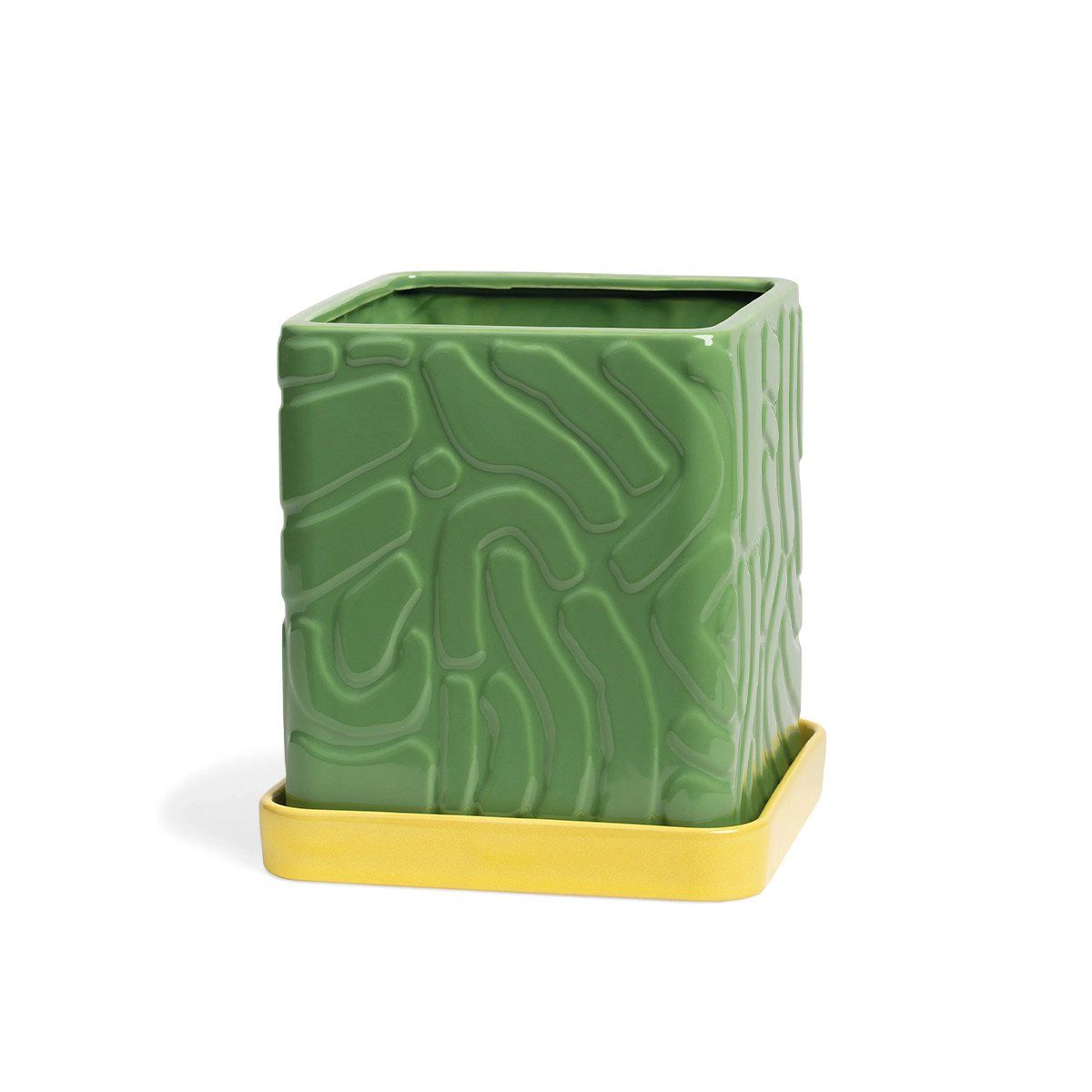 ეზო და ბაღი