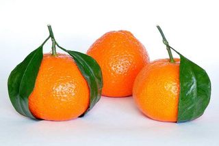 Mandarine