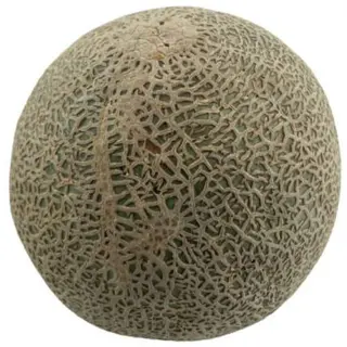 DINJA 1 Kg