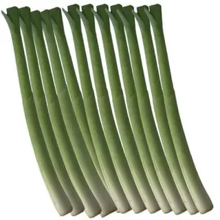 PRAZILUK 0.5 Kg