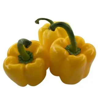 BABURA ŽUTA 0.5 kg