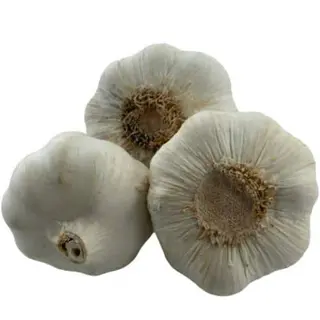 LUK BELI 0.1 Kg