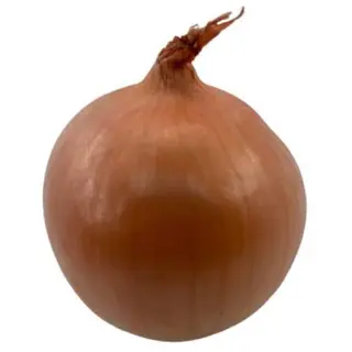 LUK CRNI 0.5 Kg