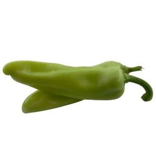 ŠILJA ZELENA 0.5 Kg