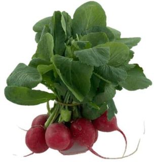 ROTKVICE 1 Kom 100g+-5%