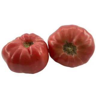 PARADAJZ VOLOVSKO SRCE 0.5 Kg