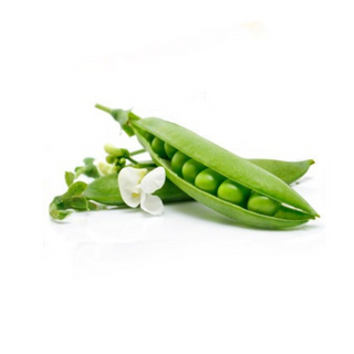 Petit pois 1/2kg جلبانة
