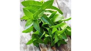 პიტნა 100გ