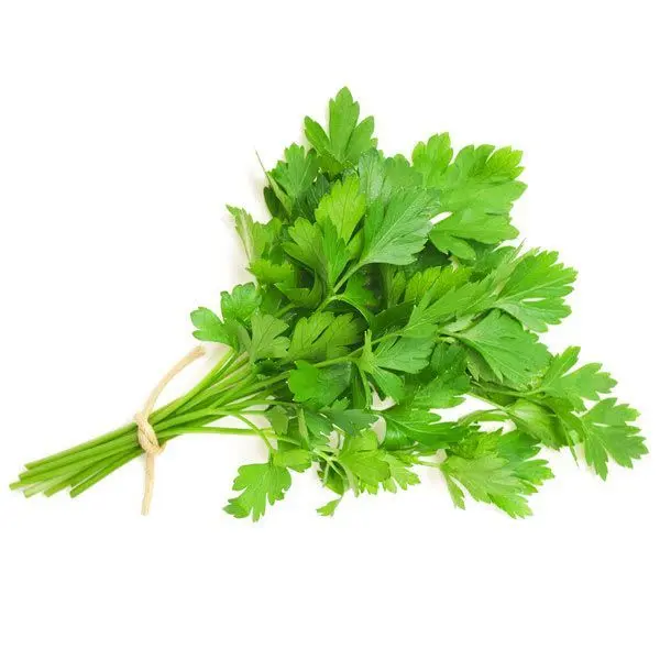 Ervas Aromáticas
