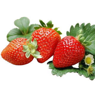 მარწყვი ქართული გორის / წონის 500 გრ