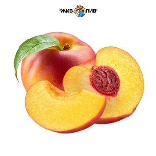 Фрізанте беліні