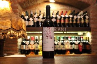 ვისმინოს საფერავი