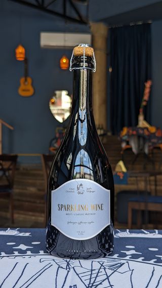 ჭური ჩინებული _ ციცქა ბრუტი