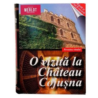 Вино "chateau Cojusna Merlot" Червоне Сухе 3л 13%