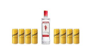 ბიფიტერი 40% 1ლ და 8 ცალი შვეფსი 330 მლ