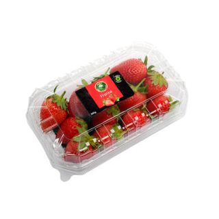 Fraise en barquette de 300g - FILIERE M