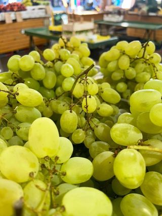 Grožđe bijelo