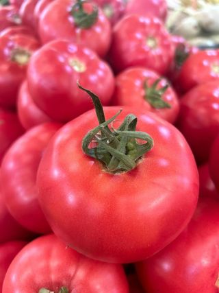 Paradajz volovsko srce