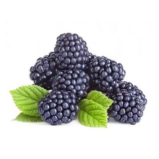 Mûres Barquette 125g