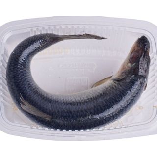 Śledź Malosol. Z Głową Ok.400g