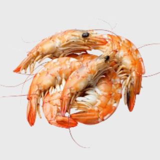 Jumbo Prawns KG