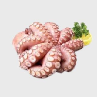 Octopus KG