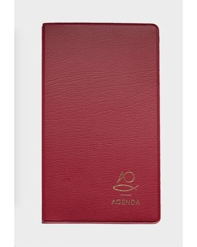 Organização com Estilo