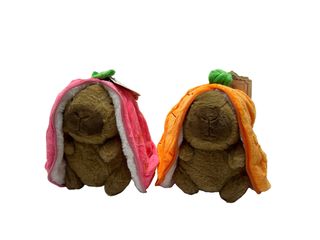 კაპიბარა ფორთოხალში და მარწყვში