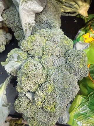 BROKOLI