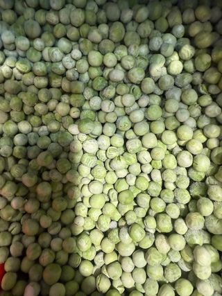 GRAŠAK SMRZNUTI RNF