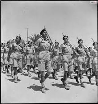 LA BATAILLE DE TUNISIE 42-43