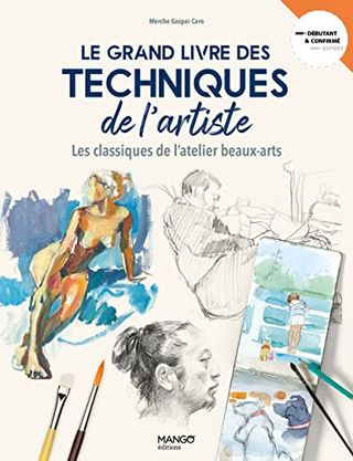 LE GRAND LIVRE DES TECHNIQUES DE L ARTISTE