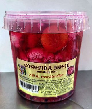 Conopida rosie murata in otet de la Zeul Muraturilor