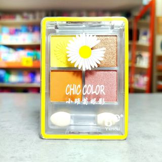 Тени для век Chic Color