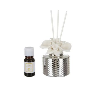 Profumatore con boccioli Beltrami - piccolo grigio con argento Miro Silver