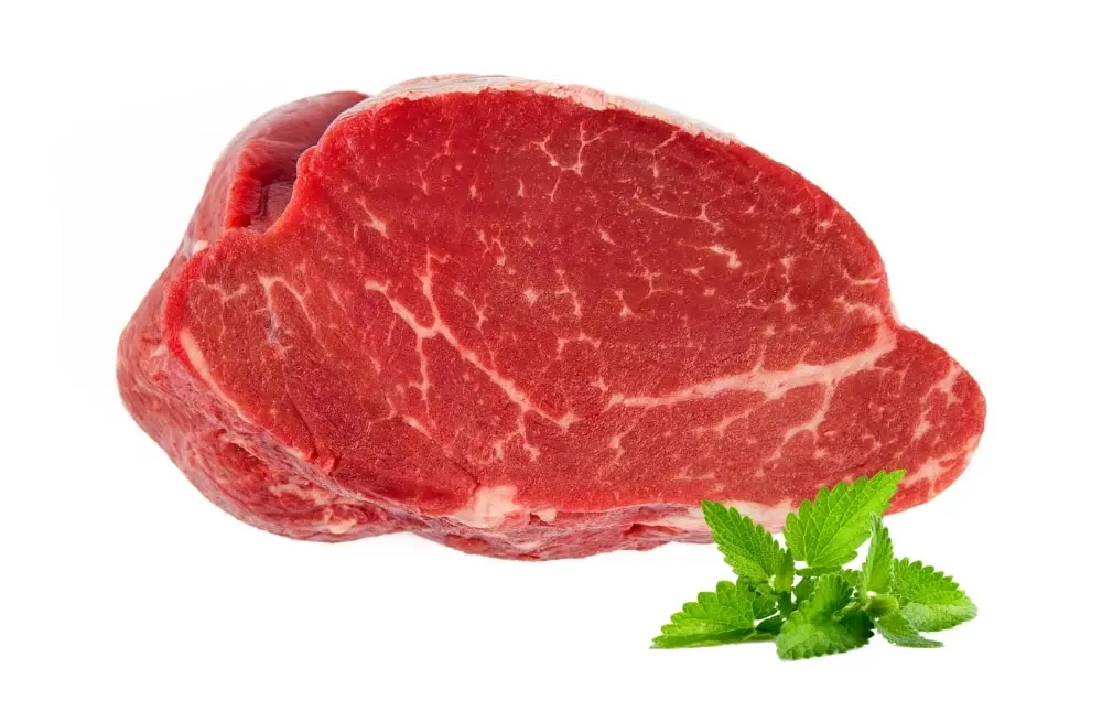 Bovino