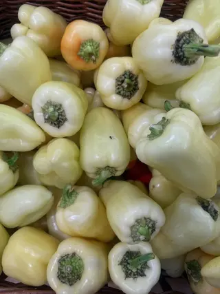 PAPRIKA LJUTA