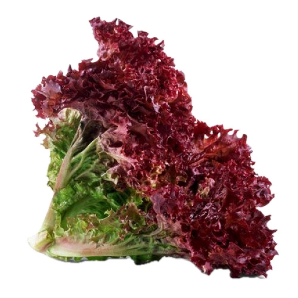 Зелень и салаты