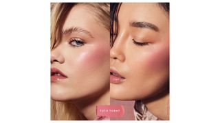 BUBBLEBAND DE FENTY BEAUTY FENTY CHEEKS 840026676168